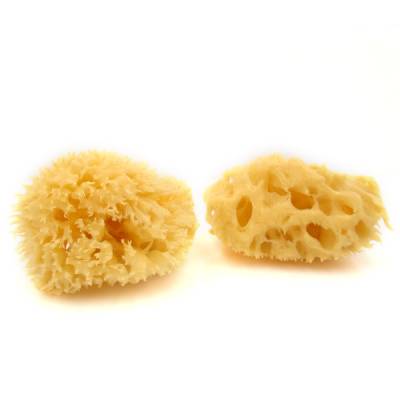 Sans Soucis Natural Sponges in the group Sans Soucis / Cleansing & Peeling at Nails, Body & Beauty (4321)