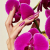 CND Vinylux No.407 Orchid Canopy CND Vinylux No.407 Orchid Canopy