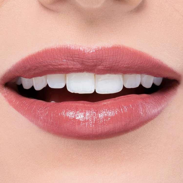 Artdeco Perfect Color Lipstick No.834 Rosewood Rouge