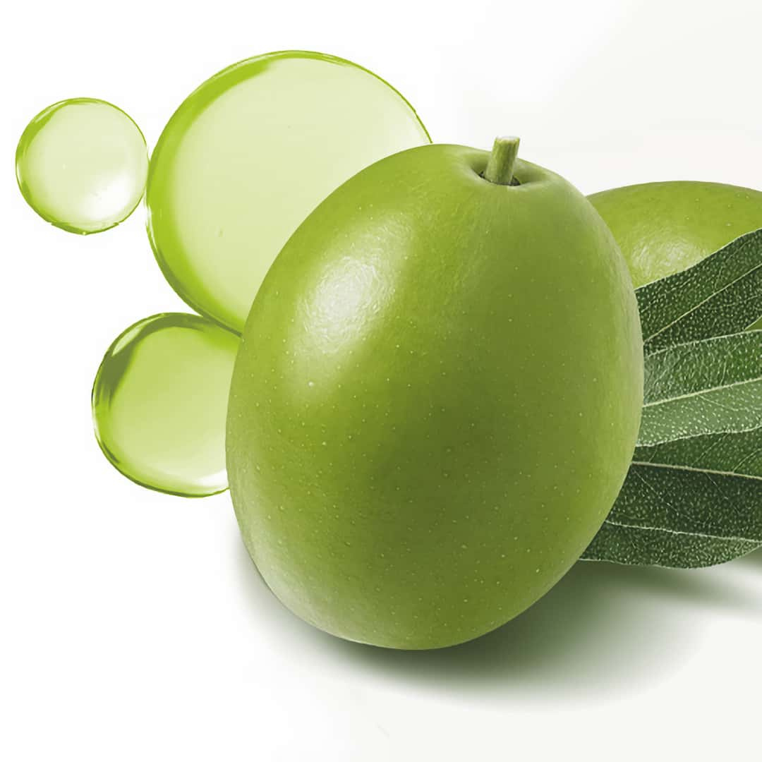 Sans Soucis Daily Vitamins Olive Detox Care