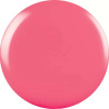 CND Vinylux Gotcha - Light pink glossy nail polish CND Vinylux Gotcha - Sweet light pink nail polish with lasting glossy finish