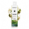 Biodroga Black Forest Skin Secret Summer Edition Shower Gel Biodroga Black Forest Skin Secret Summer Edition Shower Gel, fresh body wash for daily shower care