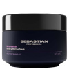 Sebastian Professional No Breaker Bonding Melting Mask Sebastian Professional No Breaker Bonding Melting Mask 145 ml rinse-out hair mask for damaged and stressed hair