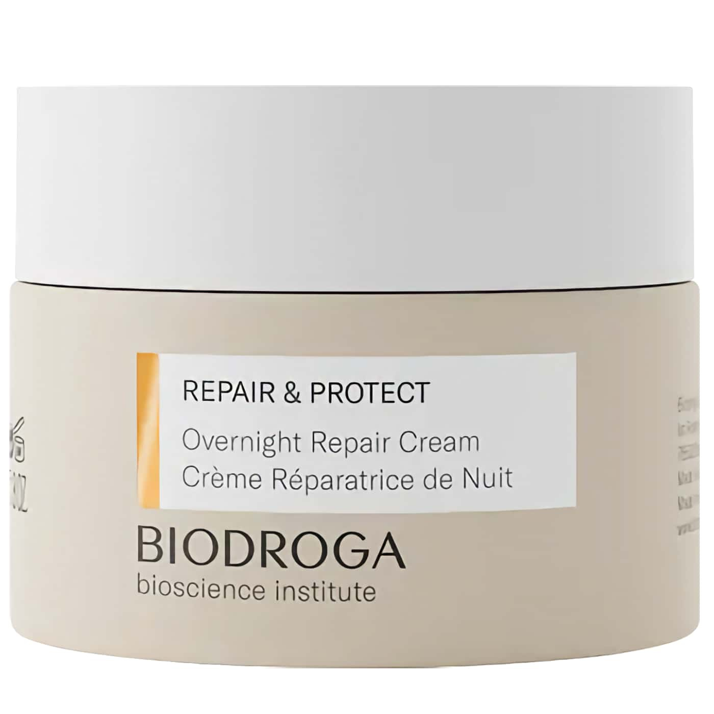 Night cream for skin repair - Biodroga Repair & Protect - Enhances elasticity and firmness