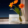 Biodroga Repair & Protect Overnight Repair Cream - Revitalizes and repairs skin overnight Night cream for skin repair - Biodroga Repair & Protect - Enhances elasticity and firmness