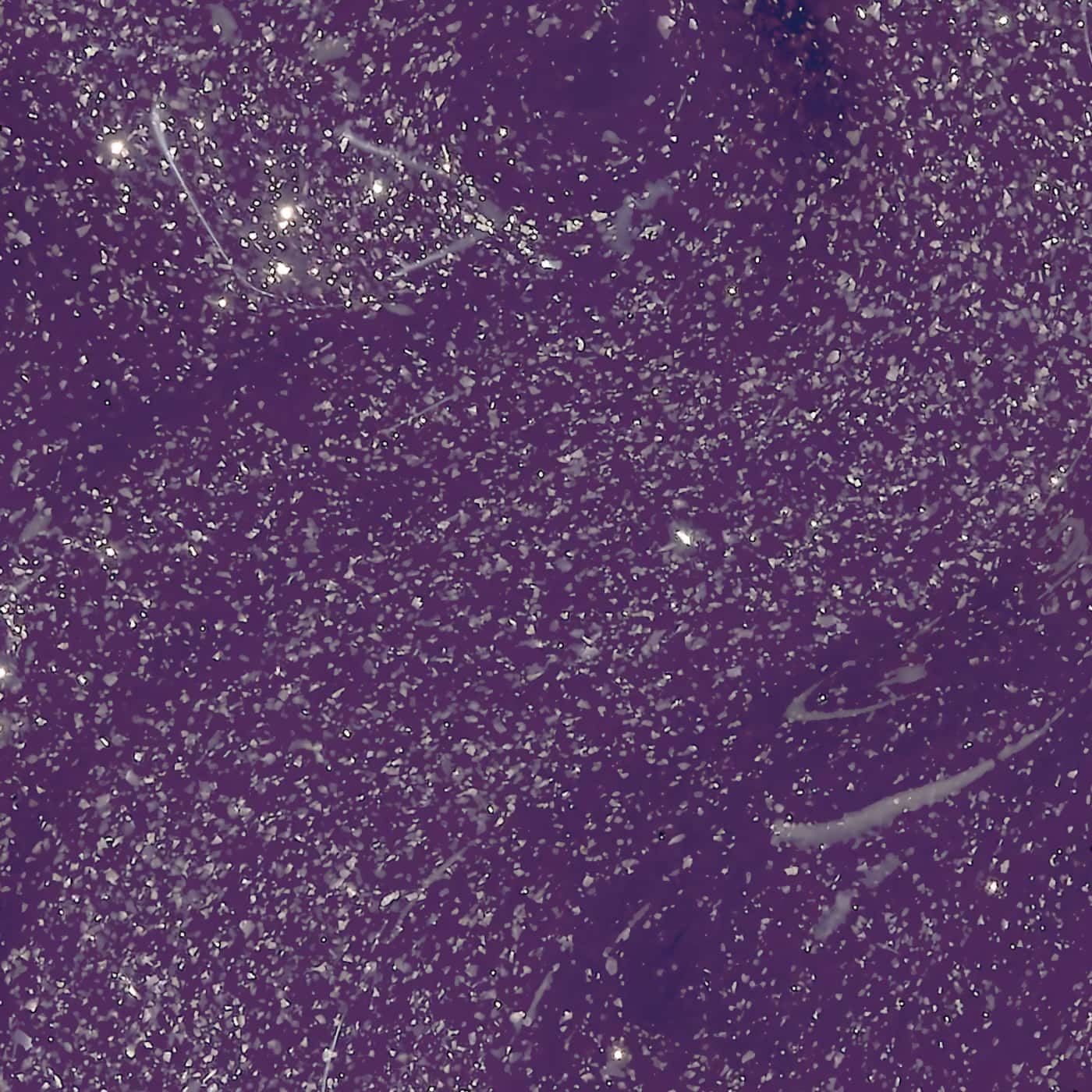 Deep purple nail polish with gold shimmer from OPI Wicked series, perfect for a bold, mysterious, and enchanting look.