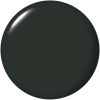 Nein! Nein! Nein! OK Fine! – dark green nail polish dark green opi infinite shine nein nein nein ok fine nail polish with creme finish