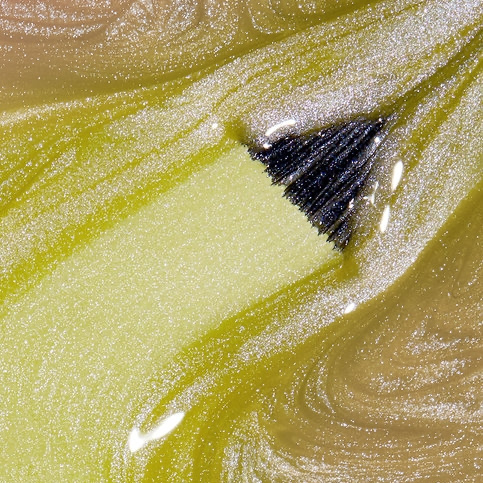 OPI Infinite Shine Hidden Prism Optical Illus-sun