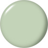 OPI Nature Strong Sage It for Later | Green nail polish OPI Nature Strong Sage It for Later nail polish | Muted sage green shade with a creamy finish and elegant modern vibe