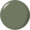 OPI Cargo All Out – olive green shade OPI Cargo All Out – olive green nail polish with earthy tone that adds a natural and stylish vibe for daily wear and fall